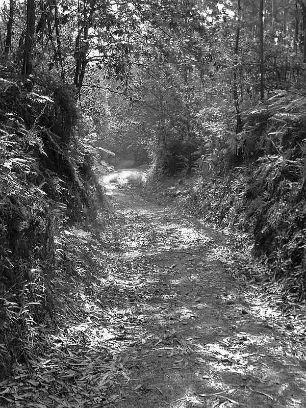 Camino2008 350_bearbeitet-1
